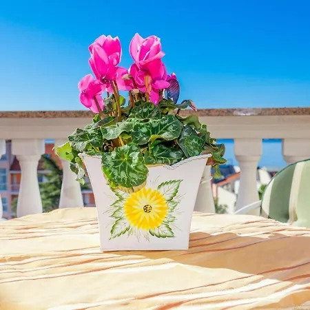Adriatic-sea-vila-bvm Apartment